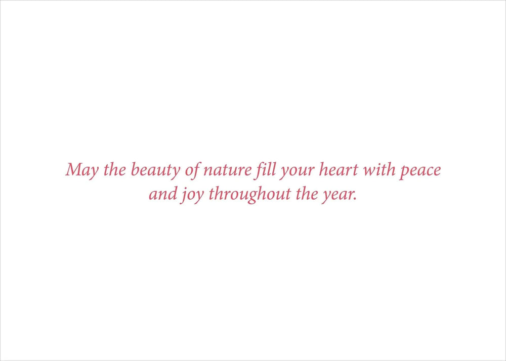 Peter Pauper Press Holiday Winter Wonderland Deluxe Boxed Holiday Cards