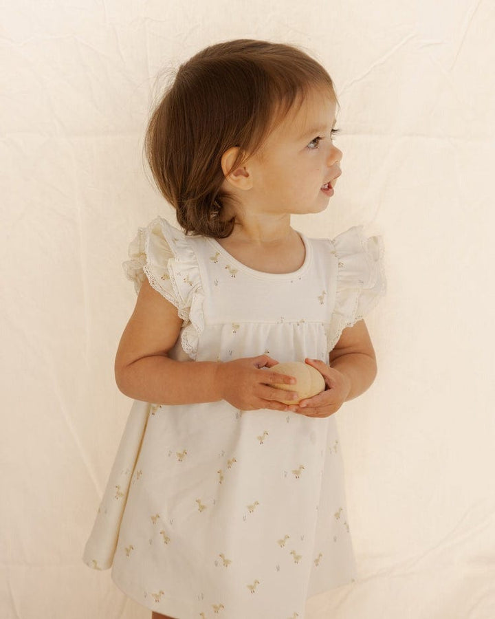 Quincy Mae Baby & Toddler Dresses Flutter Dress & Bloomer - Ducks