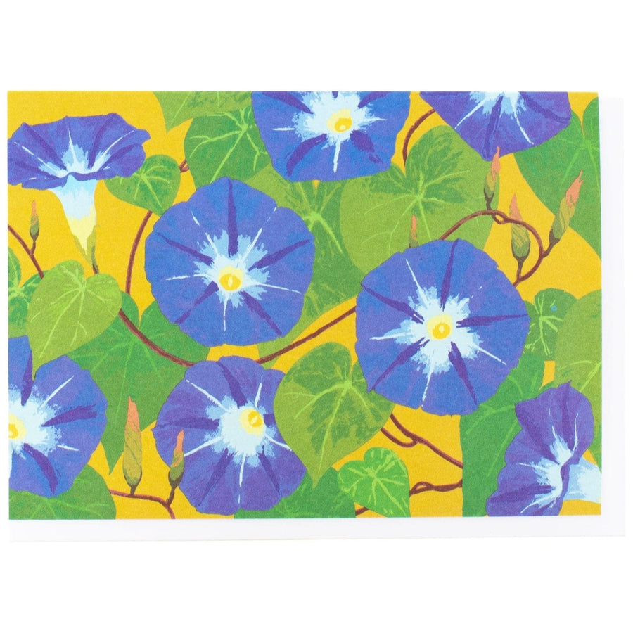 Smudge Ink Boxed Card Set Morning Glories Note Card Box of 10