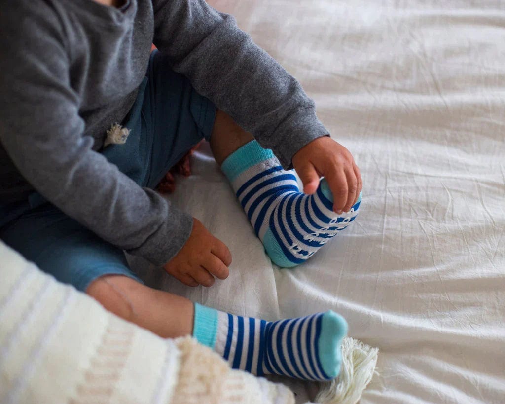 Squid Socks Socks Cruz Collection- Bamboo
