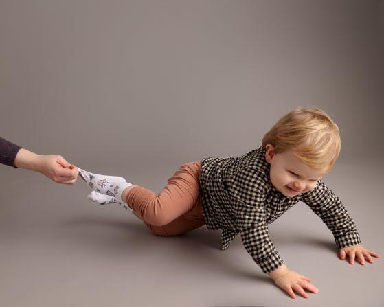 Squid Socks Socks Squid Socks Camping Collection - 3 Pack Socks