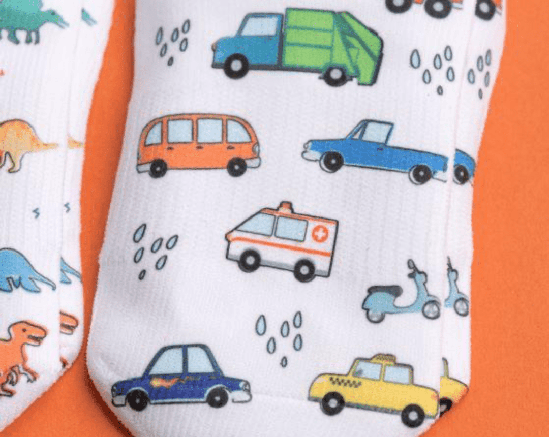 Squid Socks Socks Squid Socks Cohen Collection - 3 Pack Socks