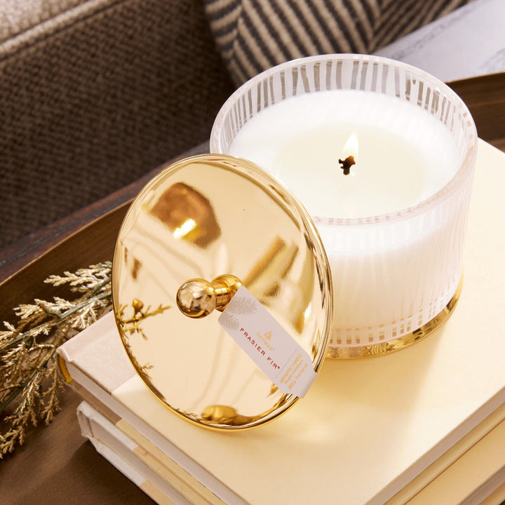 Thymes Candle Frasier Fir Medium Poured Candle, Frosted Wood Grain