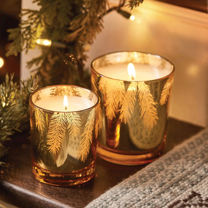 Thymes Holiday Frasier Fir 13 oz Poured Candle Gilded