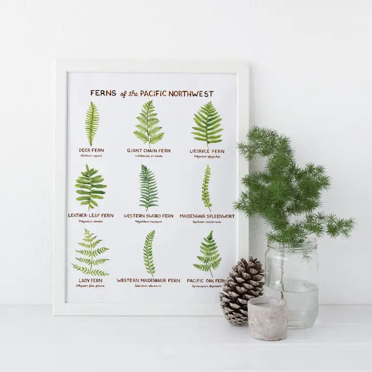 Yardia Art Print Ferns of the Pacific Northwest - 11" X 14" Art Print