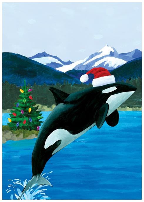 Allport Boxed Card Set Leaping Orca Boxed Cards