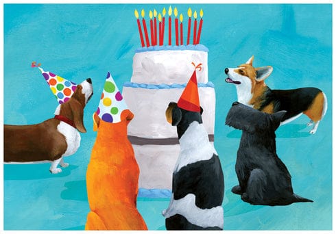 Allport Card Dog Party Birthday Card