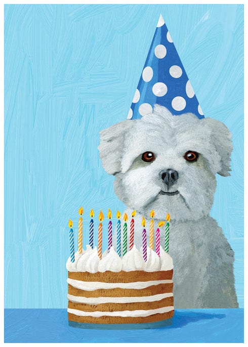 Allport Card Doggy and Cake Birthday Card