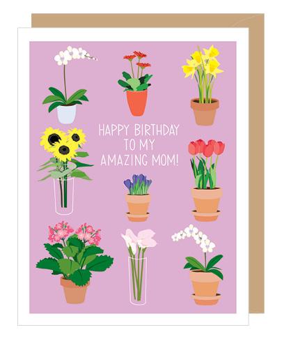 Apartment 2 Cards Card Potted Flower Mom Birthday Card