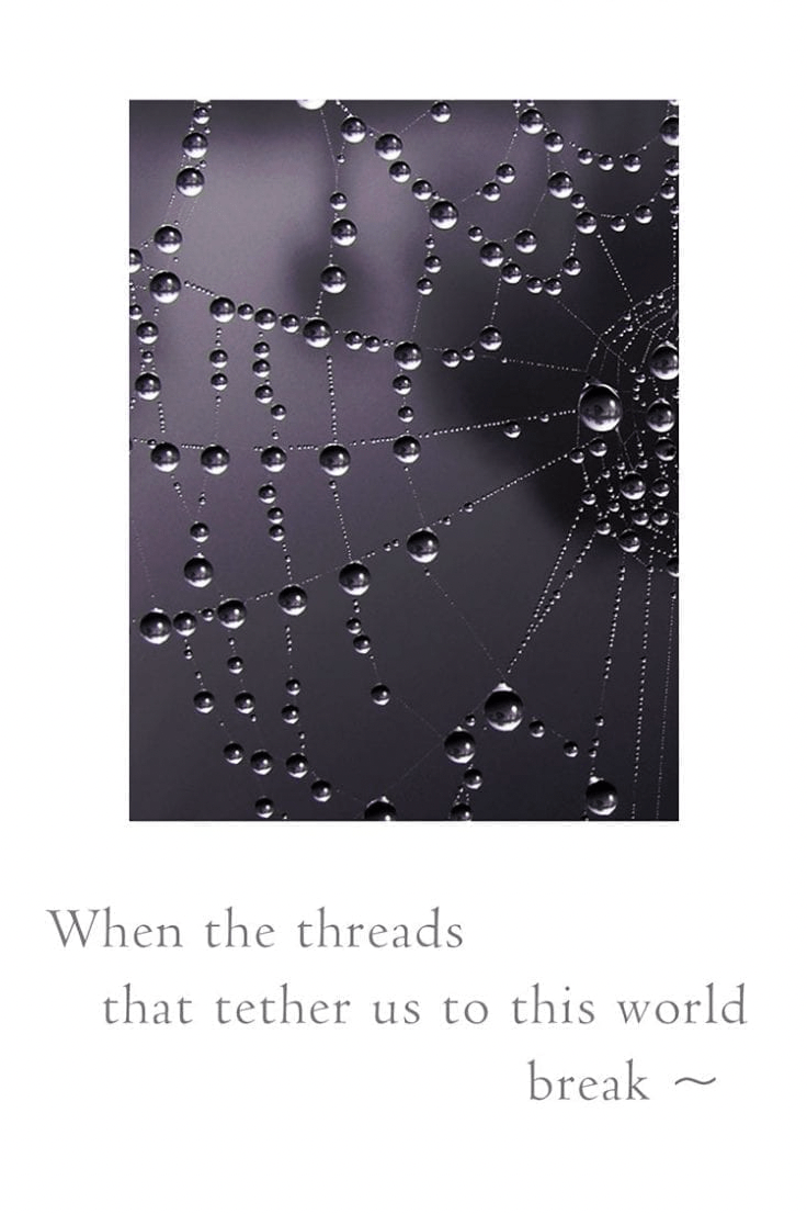 Cardthartic Card Dew on Spider Web Sympathy Card