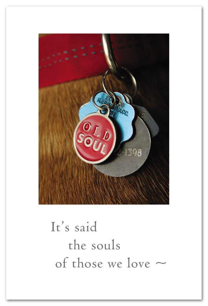 Cardthartic Card Old Soul Pet Sympathy Card