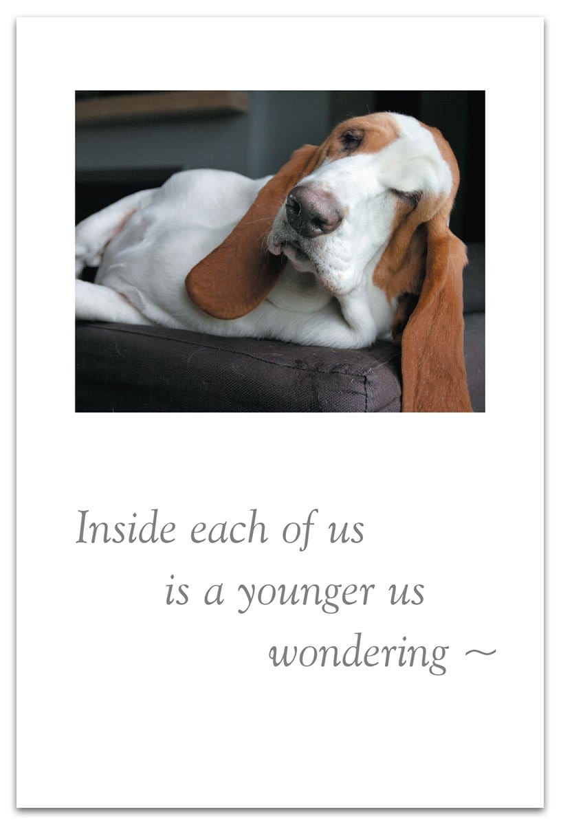 Cardthartic Card Sleepy Hound Birthday Card