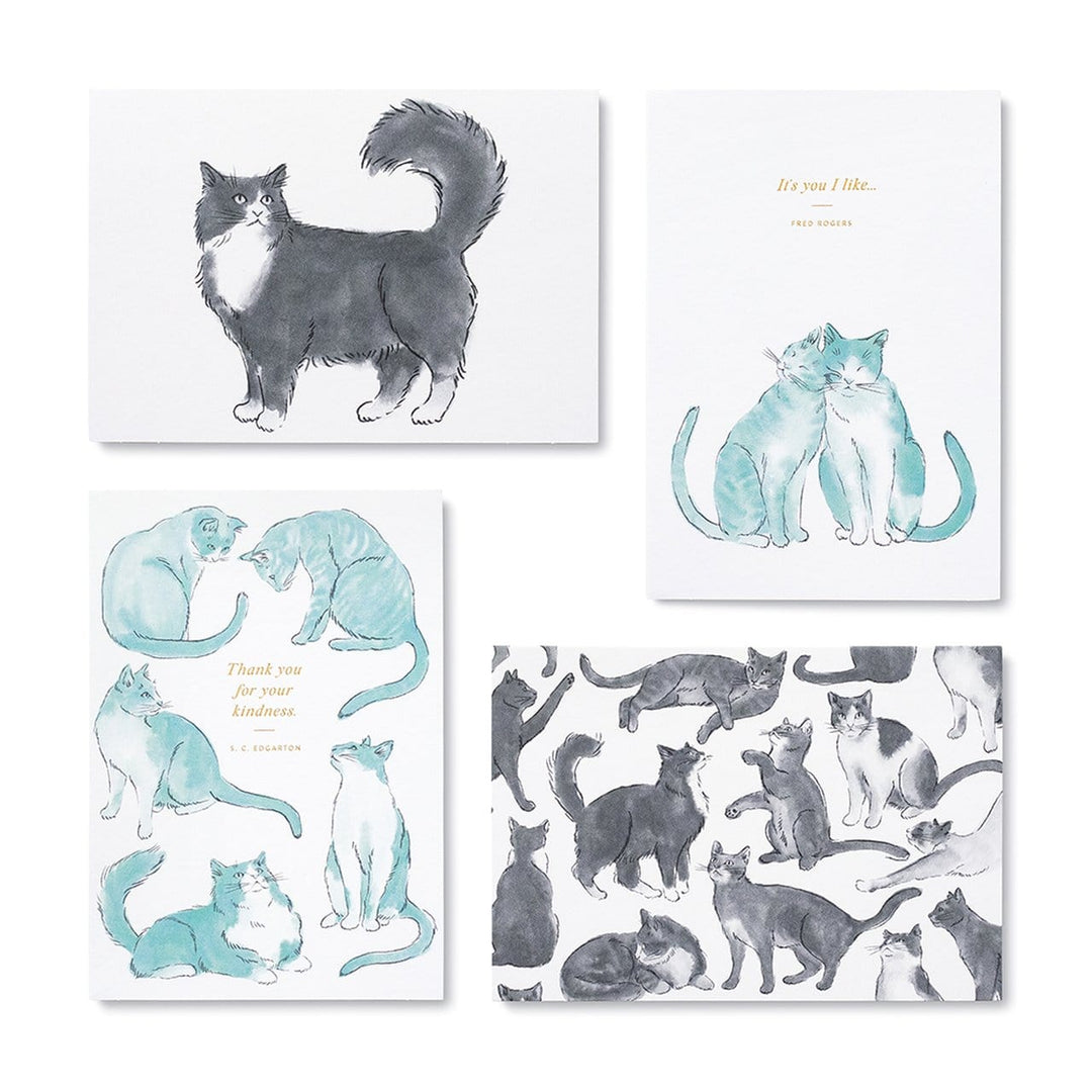 Compendium Boxed Card Set Cat-Themed Boxed Note Card Set