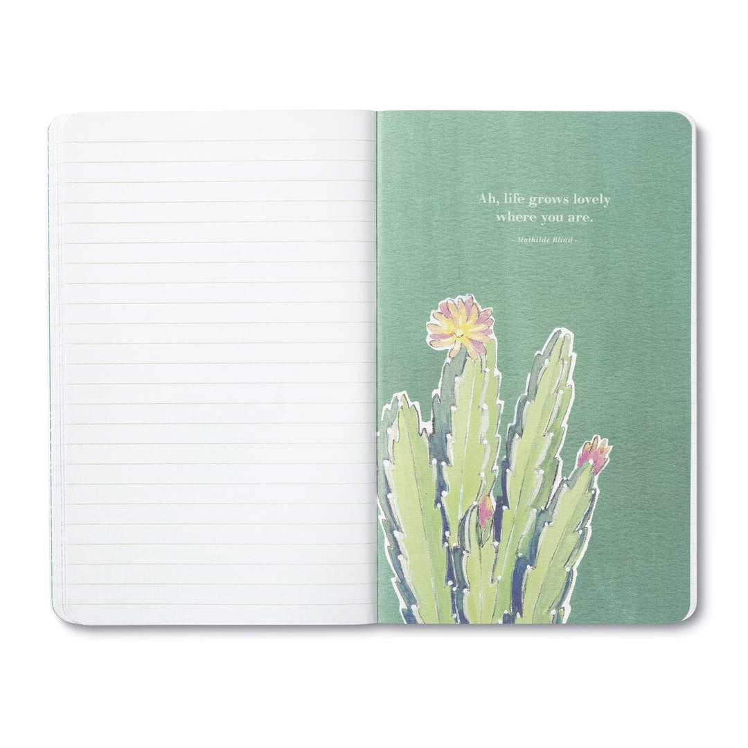 Compendium Journal Dawn Holds a New Hope Journal