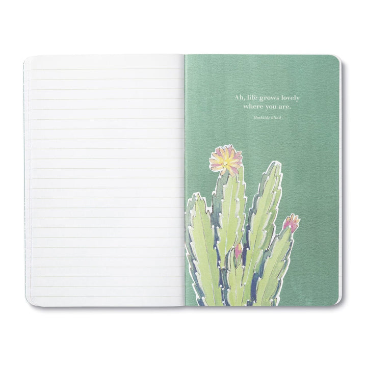 Compendium Journal Dawn Holds a New Hope Journal