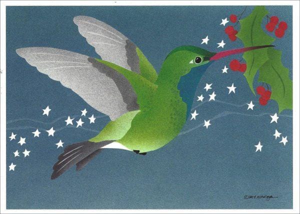 Crane Creek Graphics Boxed Card Set Hummingbird Stars Holiday Card Set