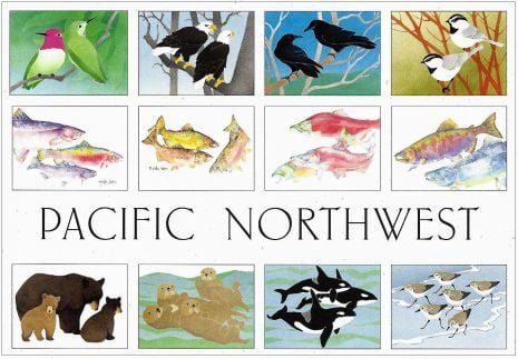 Crane Creek Graphics Boxed Card Set Pacific Northwest Assorted Boxed Card Set