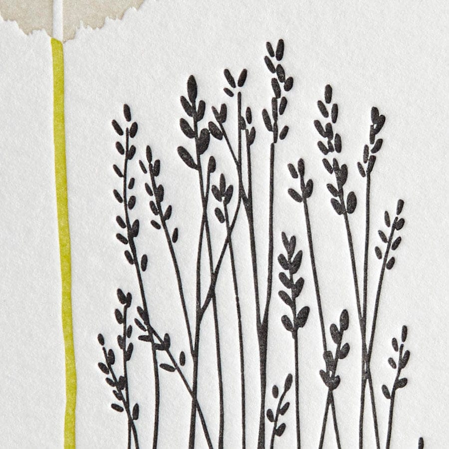 Niquea.D Card Hellen Keller Quote Sympathy Card