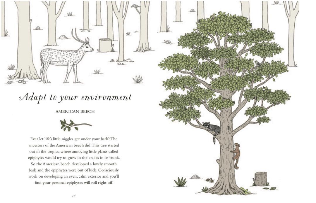 Penguin Random House Book How to Be More Tree: Essential Life Lessons for Perennial Happiness