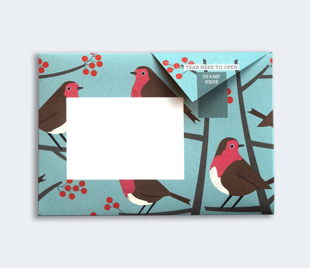 Pigeon Boxed Card Set Robin and Wren Pigeon Packs
