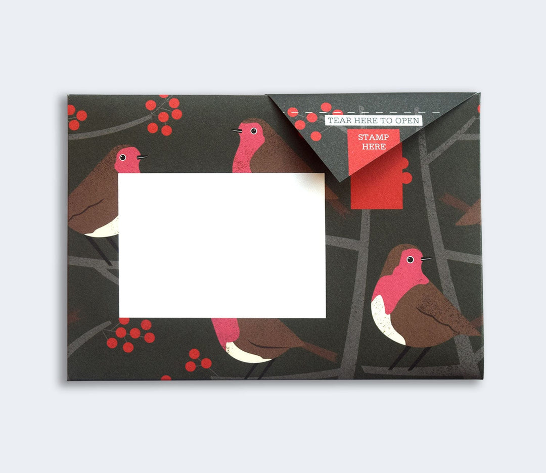 Pigeon Boxed Card Set Robin and Wren Pigeon Packs