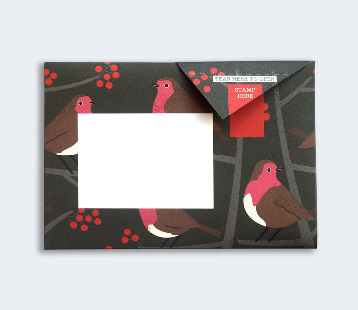 Pigeon Boxed Card Set Robin and Wren Pigeon Packs