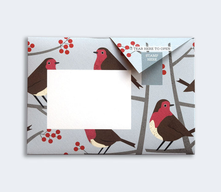 Pigeon Boxed Card Set Robin and Wren Pigeon Packs