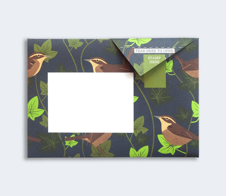 Pigeon Boxed Card Set Robin and Wren Pigeon Packs