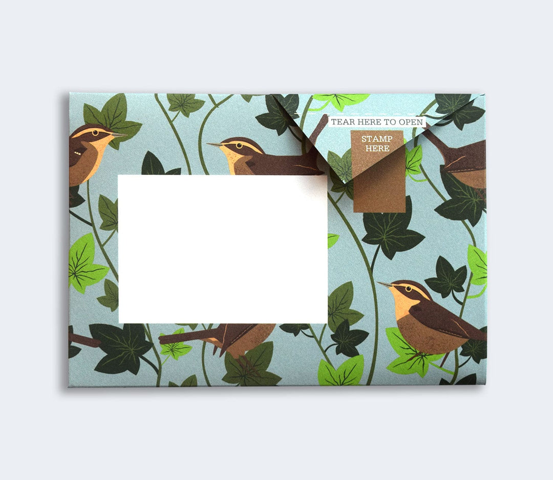 Pigeon Boxed Card Set Robin and Wren Pigeon Packs