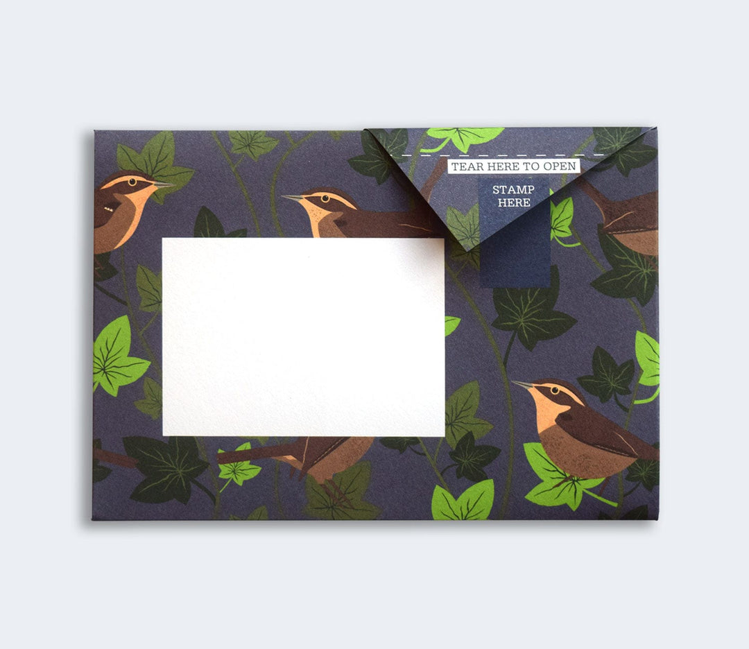 Pigeon Boxed Card Set Robin and Wren Pigeon Packs