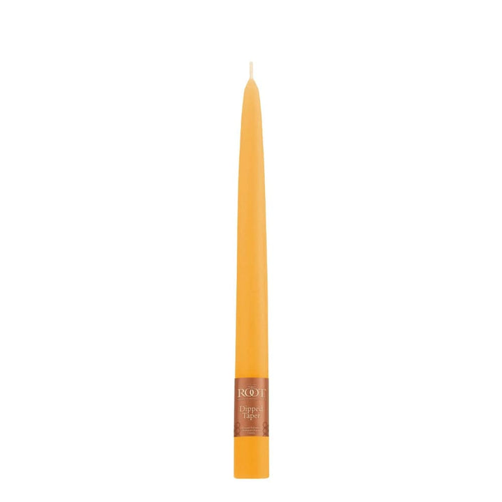 Root Candles Candles 9" / Butterscotch Dipped Taper Candles