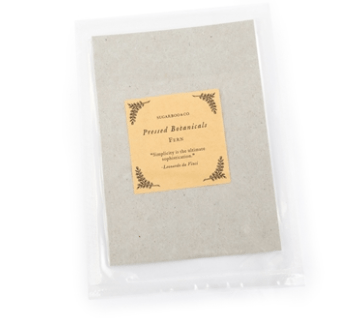 Sugarboo Art Print Fern Pressed Botanicals