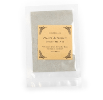Sugarboo Art Print Forget-Me-Not Pressed Botanicals