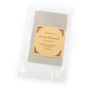 Sugarboo Art Print Pisum Leaf Pressed Botanicals