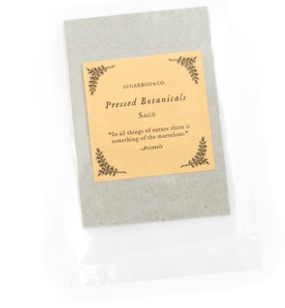 Sugarboo Art Print Sage Pressed Botanicals