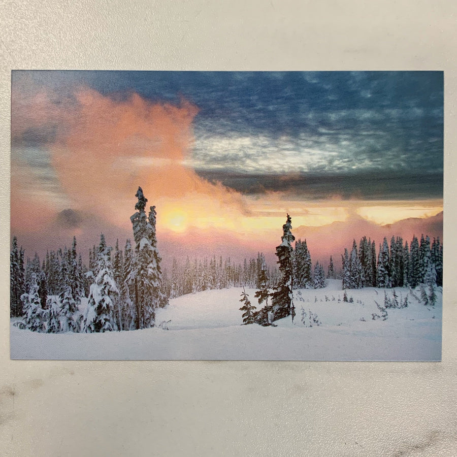 Tom Haseltine Photography Postcard Sunset on Rainier Postcard
