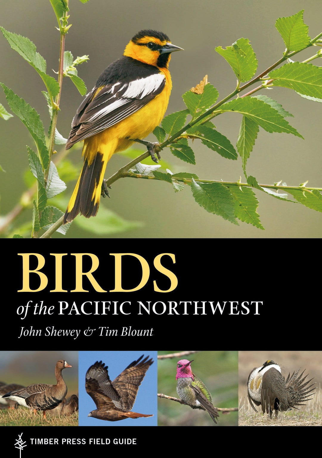 Workman Publishing Book Birds of the Pacific Northwest
