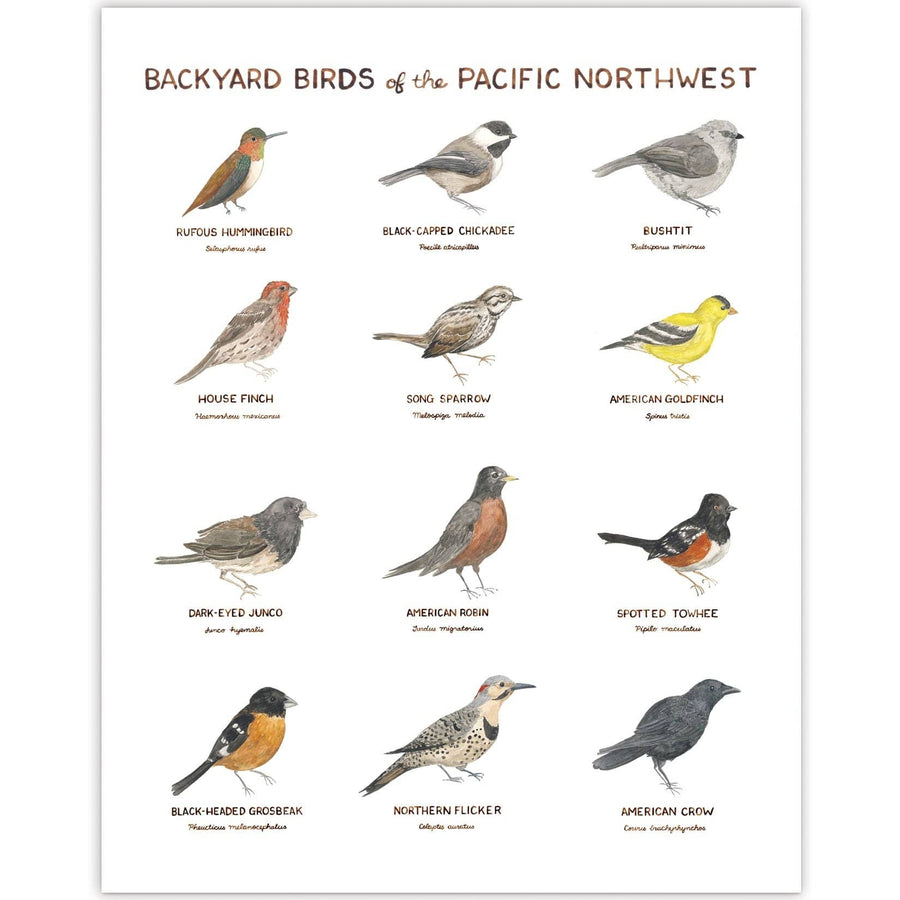 Yardia Art Print Backyard Birds of the Pacific Northwest 11x14 Art Print