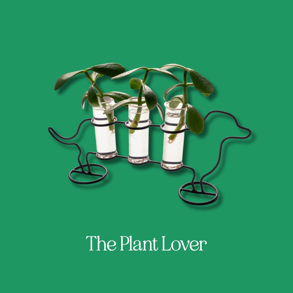 Gifts for the Plant Parent