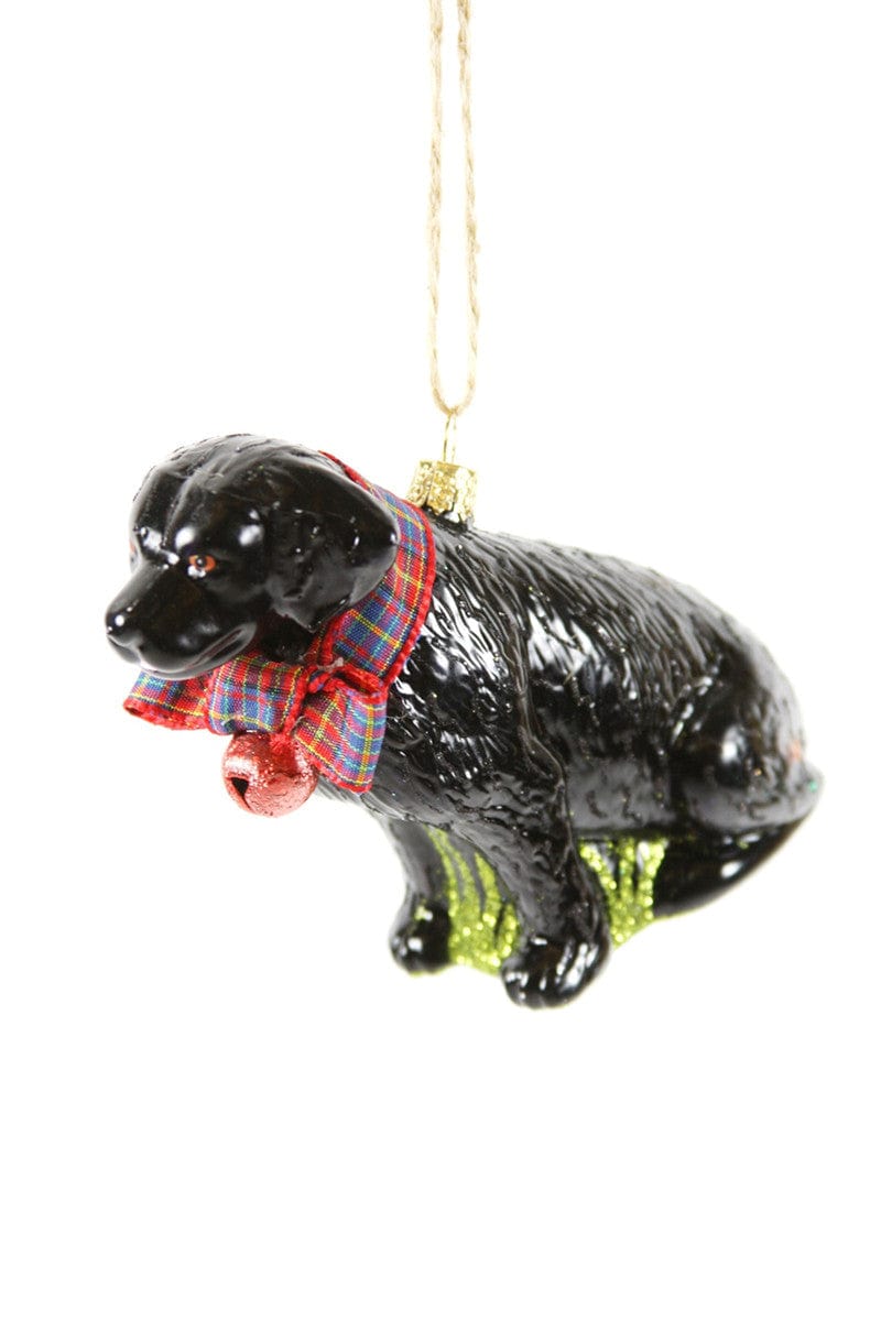 Animal & Wildlife Ornaments