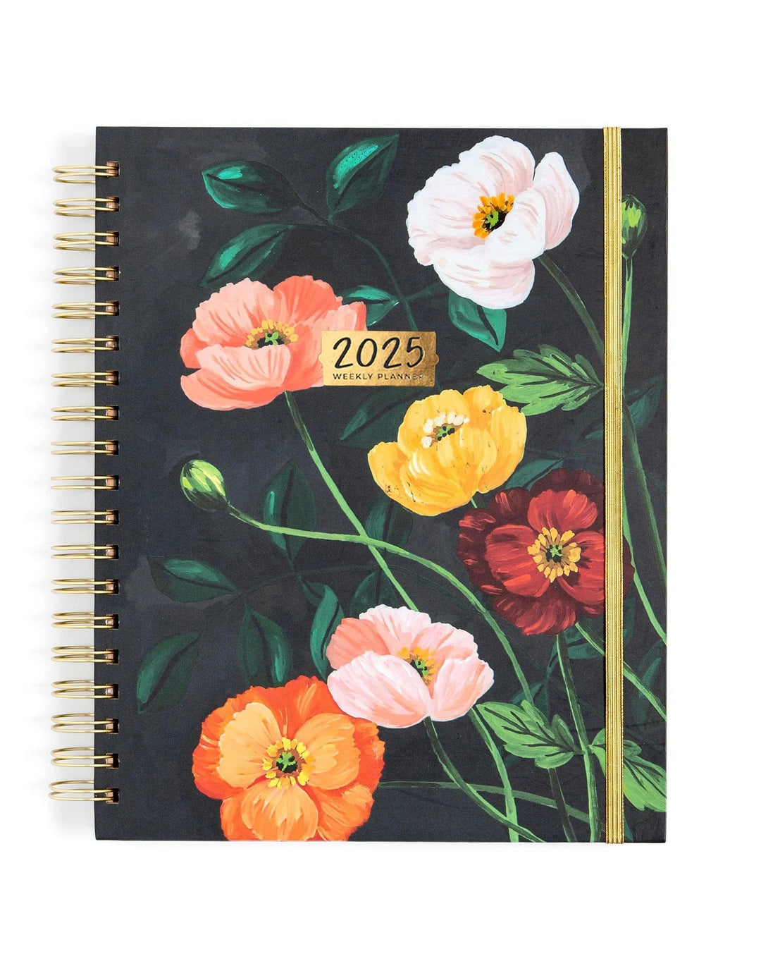 1Canoe2 2025 Pacifica Planner: Calendar Year