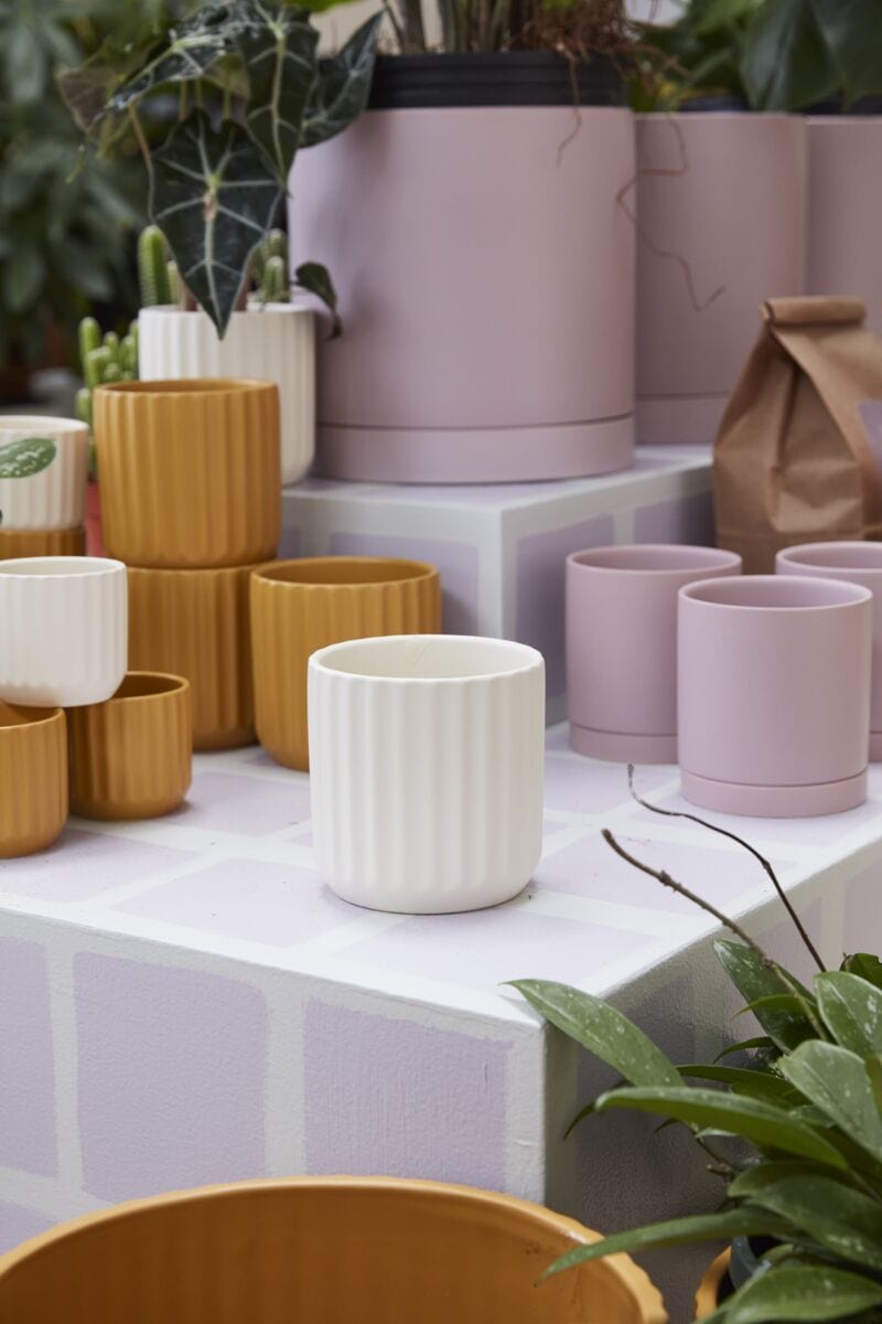 Accent Decor Plants 4.75" Beam Pot - Off-White
