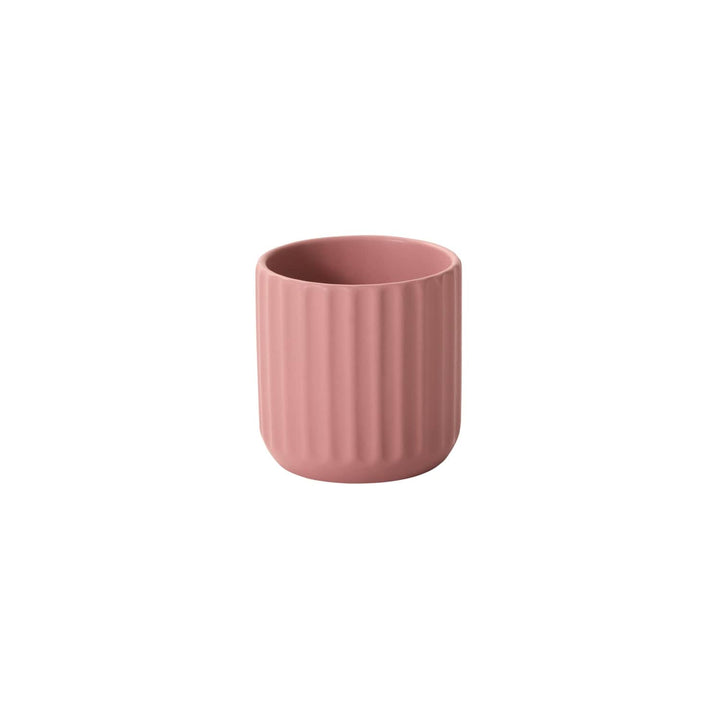 Accent Decor Plants 4.75" Beam Pot - Pink
