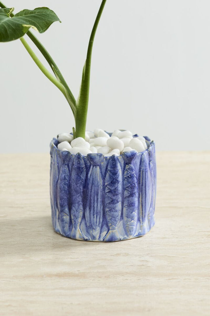 Accent Decor Plants Amalfi Pot