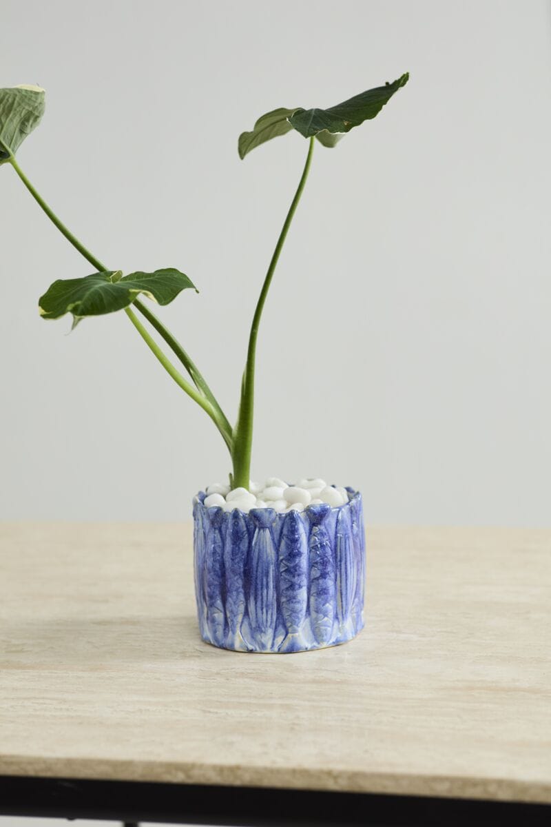 Accent Decor Plants Amalfi Pot