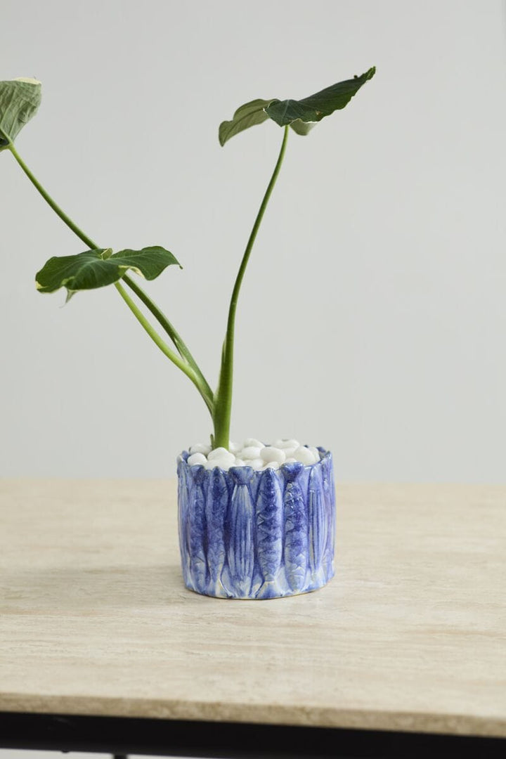 Accent Decor Plants Amalfi Pot