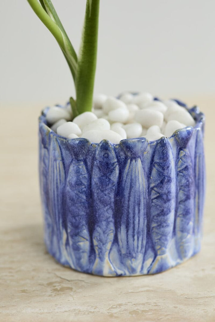 Accent Decor Plants Amalfi Pot