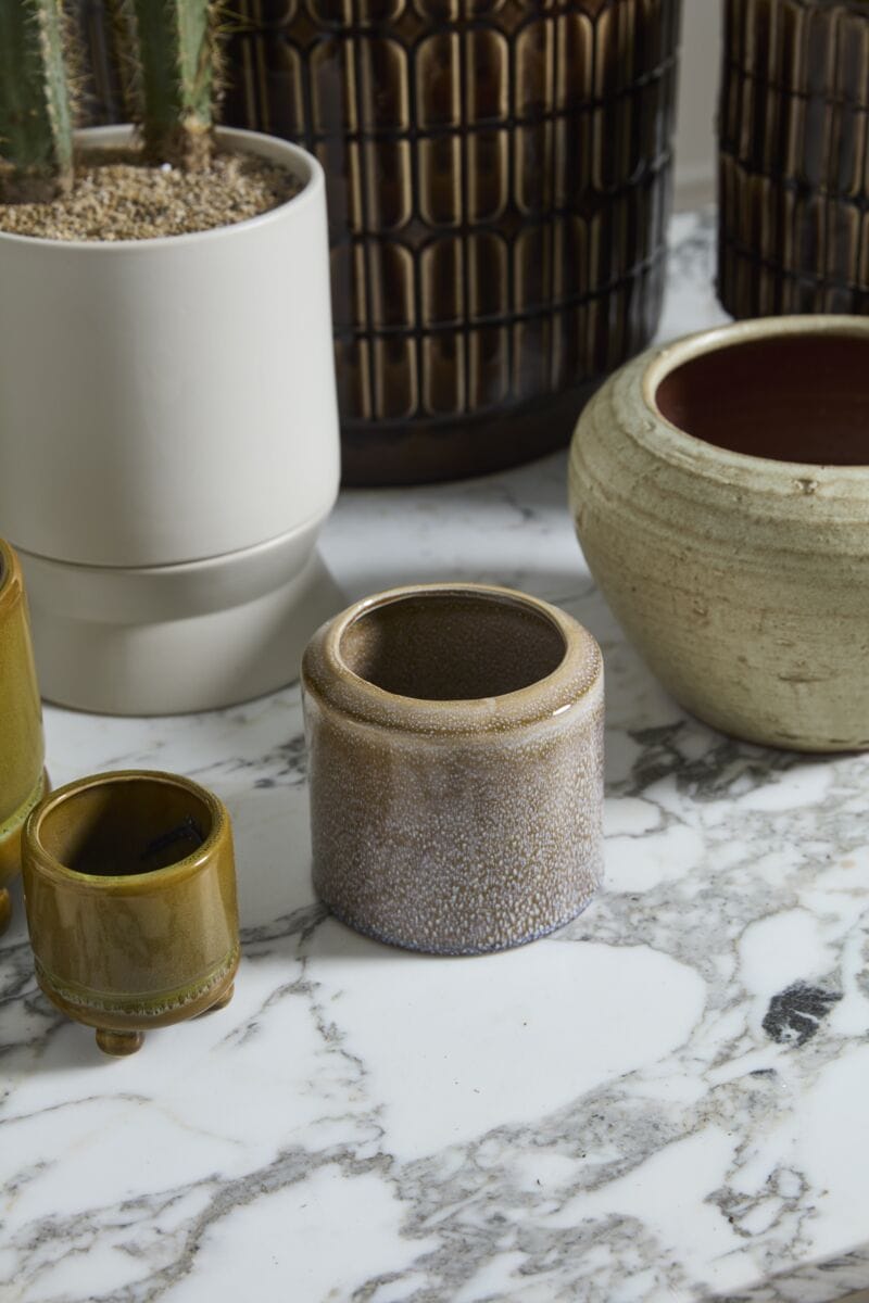 Accent Decor Plants Arden Pot