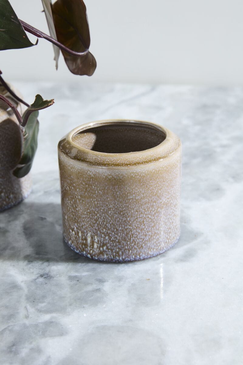 Accent Decor Plants Arden Pot