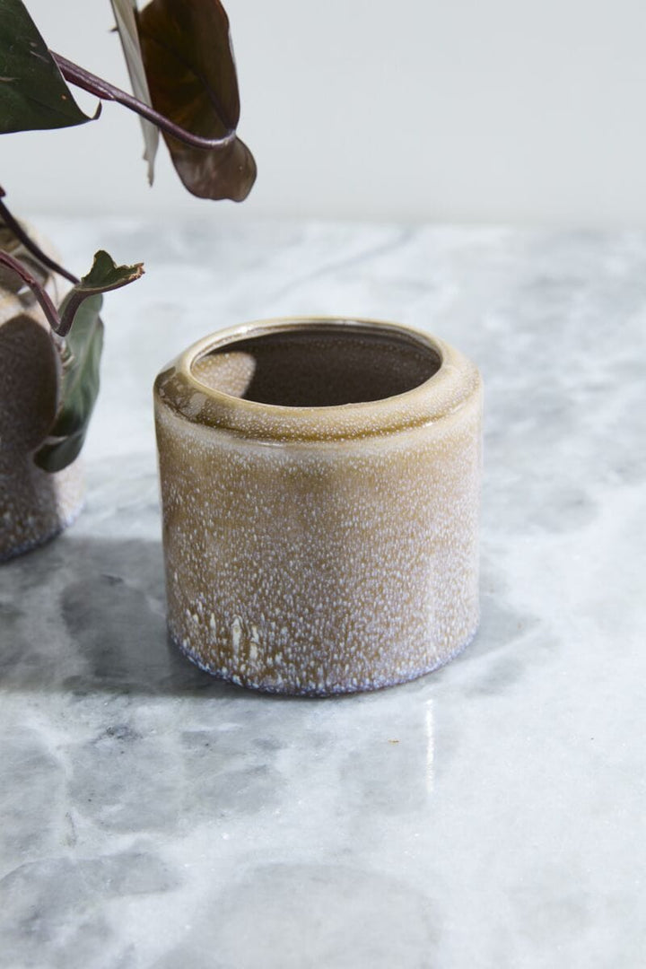 Accent Decor Plants Arden Pot